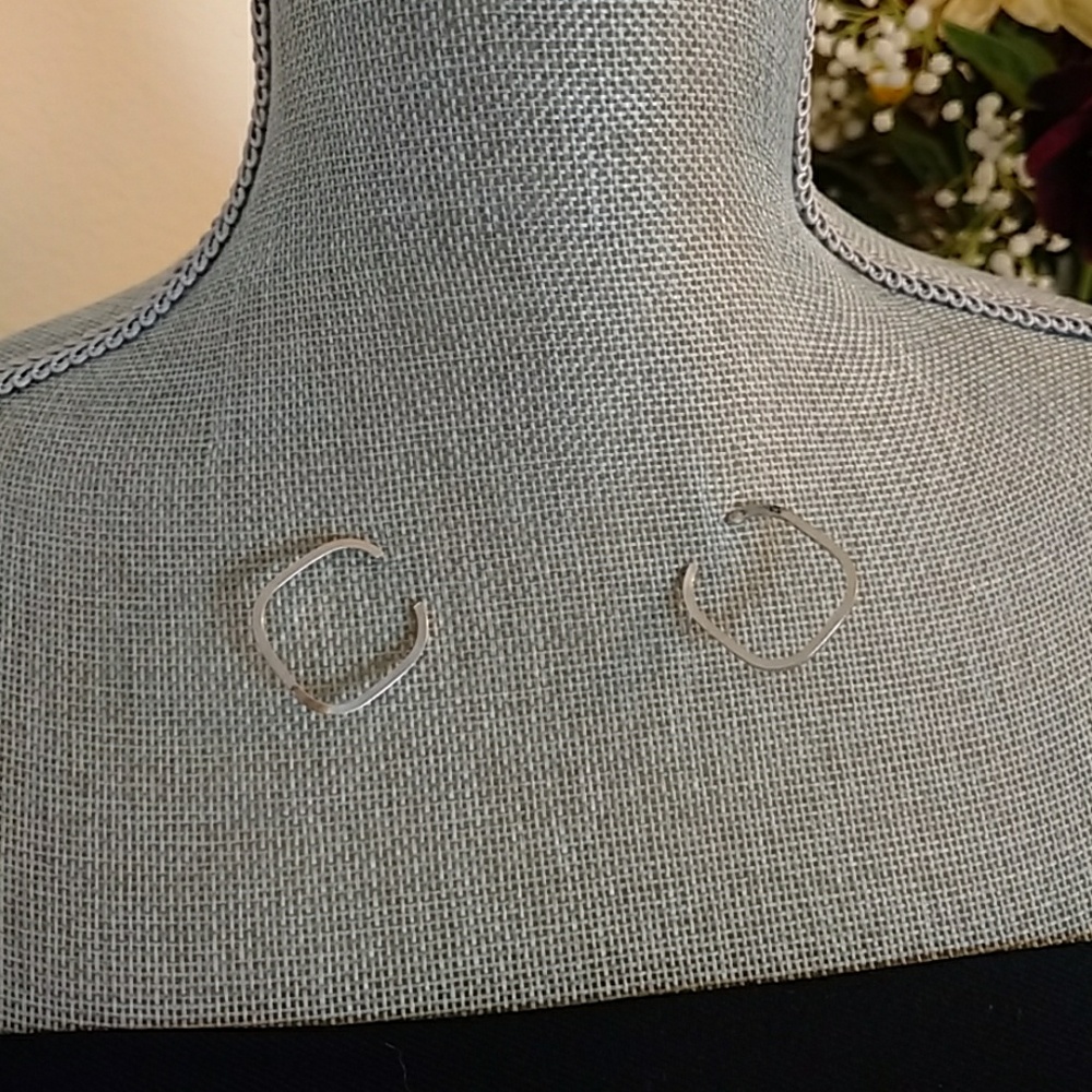 Nwot  Silver tone earrings